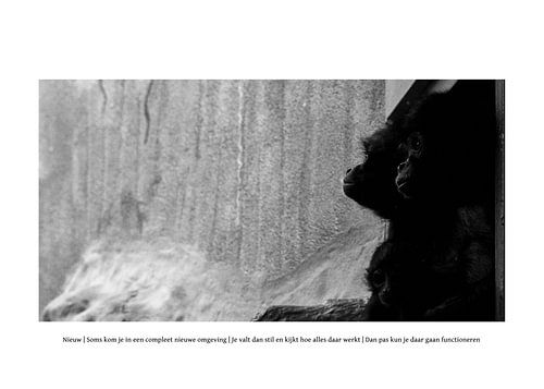 Wie Autismus aussieht: Neu