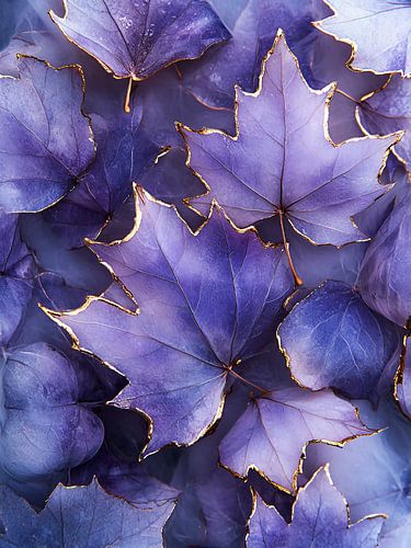 Feuilles d'érable pourpre