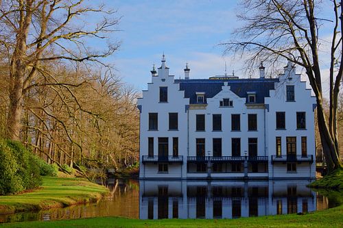 Staverden tussen de kale bomen