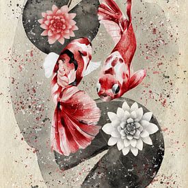 Colourful koi by Lucia