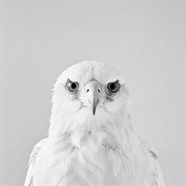 Eagle by Poster Art Shop