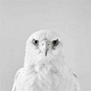 Adler