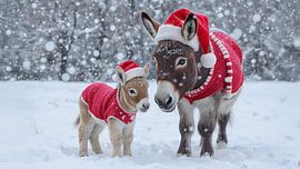 Donkeys at Christmas... by Ans Bastiaanssen