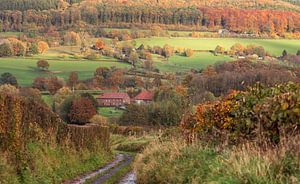 Herfstkleuren in Zuid-Limburg von John Kreukniet