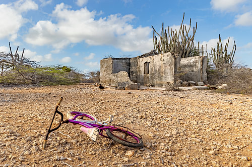 Abandoned on Bonaire – a purple bicycle in the Caribbean landscape