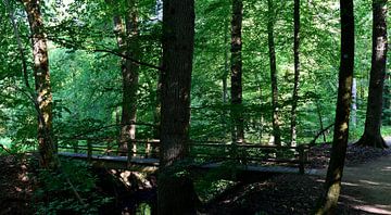 Eine Brücke über einen Waldbach von Gerard de Zwaan