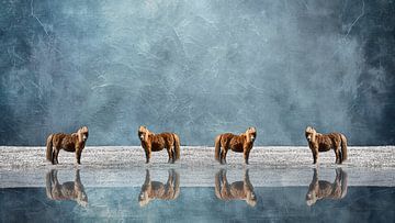 Reflections of a Summer Field by Saranda Foto Art