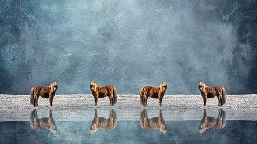 Reflektionen eines Sommerfeldes von Saranda Foto Art