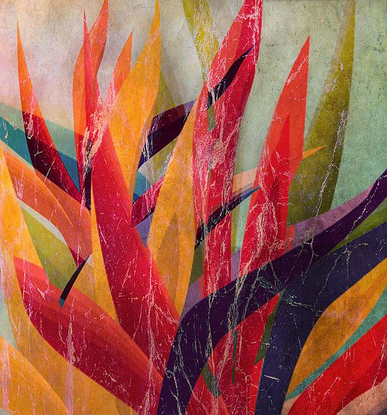 Botanical gadgets by Kay Weber