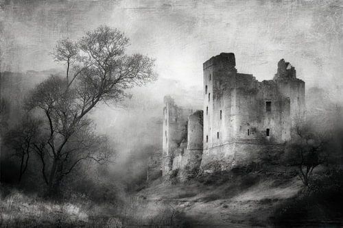 Kasteelruïne in Dichte Mist