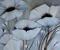 Weißer Mohn