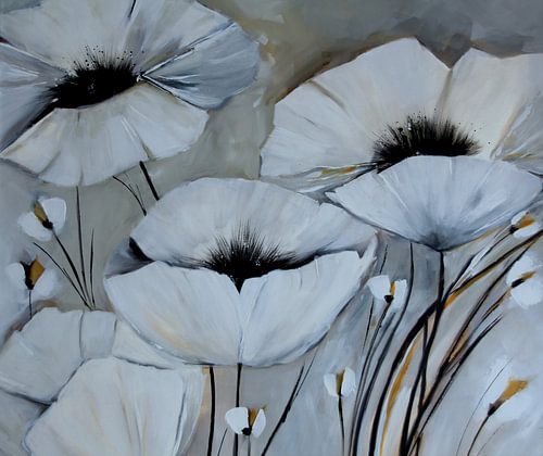 white poppy