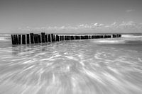 streaks in the sea