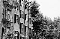 boston brick homes by Meleah Fotografie thumbnail