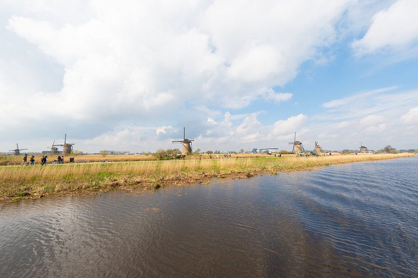 Kinderdijk Windmolens van Brian Morgan