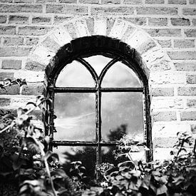 Fenêtre cachée derrière les buissons | Elburg, Pays-Bas | Photographie de rue sur Diana van Neck Photography