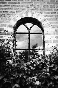 Verstecktes Fenster hinter den Büschen | Elburg, Niederlande | Straßenfotografie