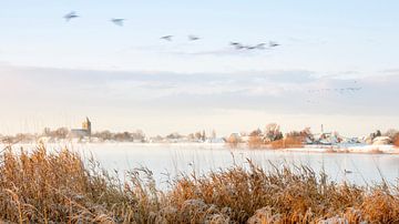 Zalk in winter by Erik Veldkamp