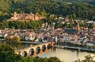 Die Altstadt von Heidelberg von Michael Valjak Miniaturansicht