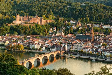 De oude stad van Heidelberg