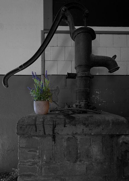 Oude waterpomp in Fort Nigtevecht van Peter Bartelings
