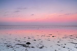 Sérénité à la mer des Wadden à Wieringen