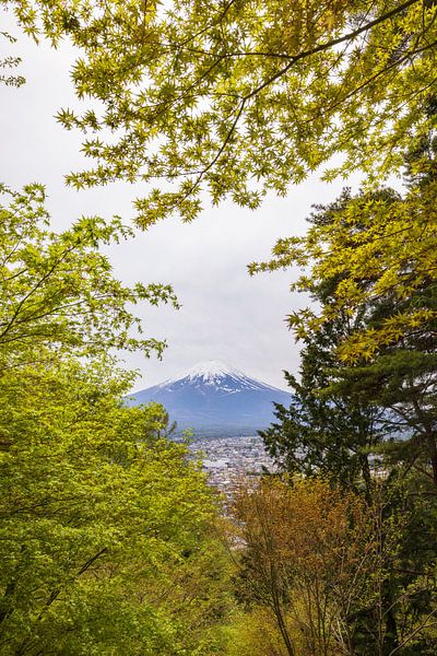 Berg Fuji - Japan (Tokio) von Marcel Kerdijk