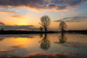 Coucher de soleil sur les plaines inondables du Lek sur Arthur Puls Photography