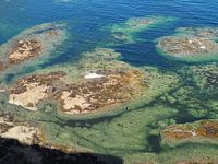 Blick von der Klippe / auf das Meer von Tantallon Castle