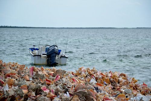 Conch kerkhof