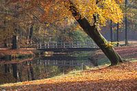 Bruggetje over water in de herfst