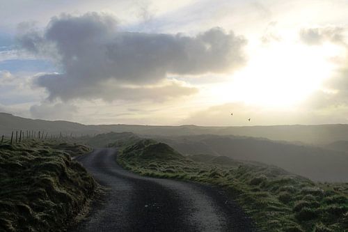 Road through the dunes