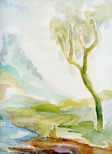 einzelner Baum am Wasser