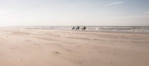 Chevaux sur la plage sur Alex Hiemstra