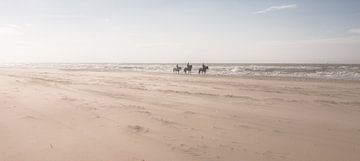 Horses on the Beach van Alex Hiemstra