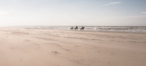 Horses on the Beach
