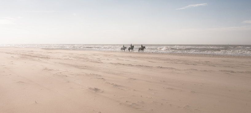 Horses on the Beach van Alex Hiemstra