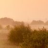Panorama Kinderdijk van Frank Peters
