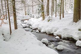 Bach im Winter von Dirk Rüter