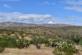 Hiking in Spring Canyon