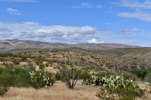 Wandelen in Spring Canyon