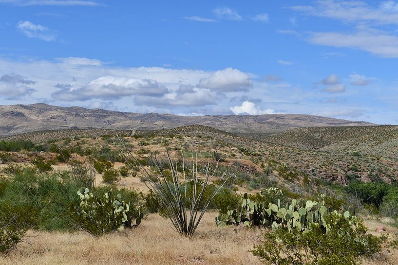 Hiking in Spring Canyon by Bernard van Zwol