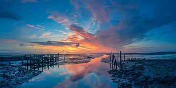 Colour explosion van John Goossens Photography