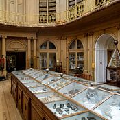 Teylers Museum profielfoto