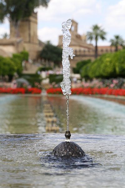Spanischer Brunnen, Córdoba von Lisette Tegelberg - Zegwaard