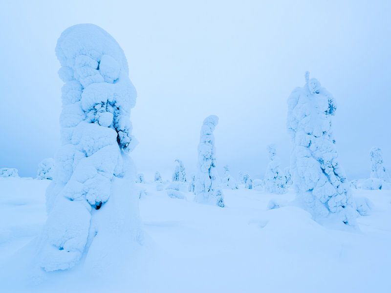 Géants de la glace par Denis Feiner