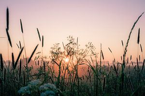 Atmosphäre am Rande