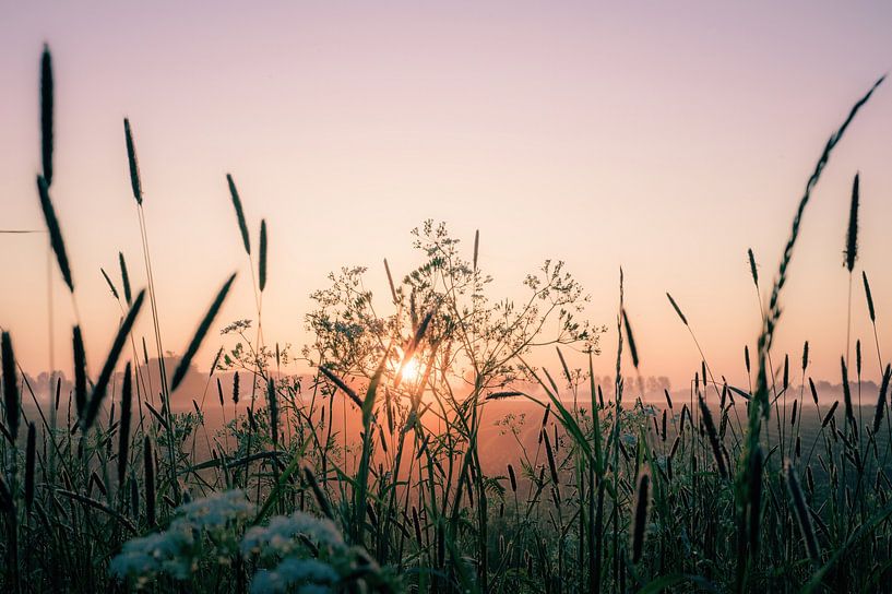 Atmosphäre am Rande von Tania Perneel