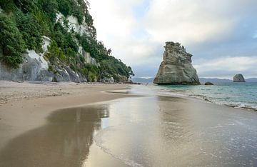 Te Hoho Rock at Cathedral Cove by Achim Prill