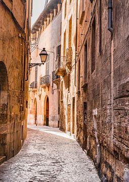 Smalle straat in de oude stad van Palma de Majorca, Spanje Balearen van Alex Winter